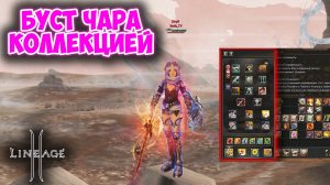 Выгодно БУСТИМ Персонажа и Закрываем Коллекции! Lineage 2 Main