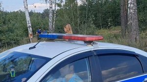 Растём вместе с Нильсом 6 лет часть 11