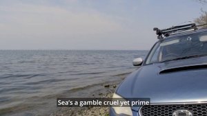 E68 В поисках красноперки на море (Де-Фриз и Океанская). Владивосток