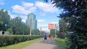 Зеленая энергия в движении. Прогулки без повода