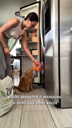 Чё купила? 🐱  Подпишись на VideoCook