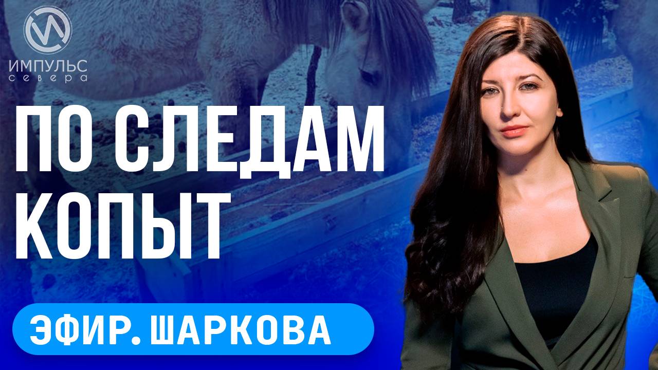 ЭФИР. Средство от комаров. Сбежала лошадь. Гранты Губернатора