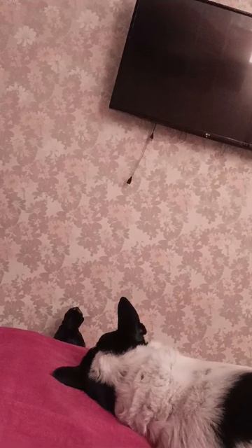 Ловит разетку