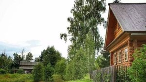 "По серым дорожкам." Аккомпанирует на аккордеоне, руководитель ансамбля "Ноктюрн" Николай Дмитриев.