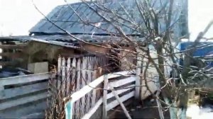Сварила плов с раннего утра Первый цыплёнок грачёнок вылупился