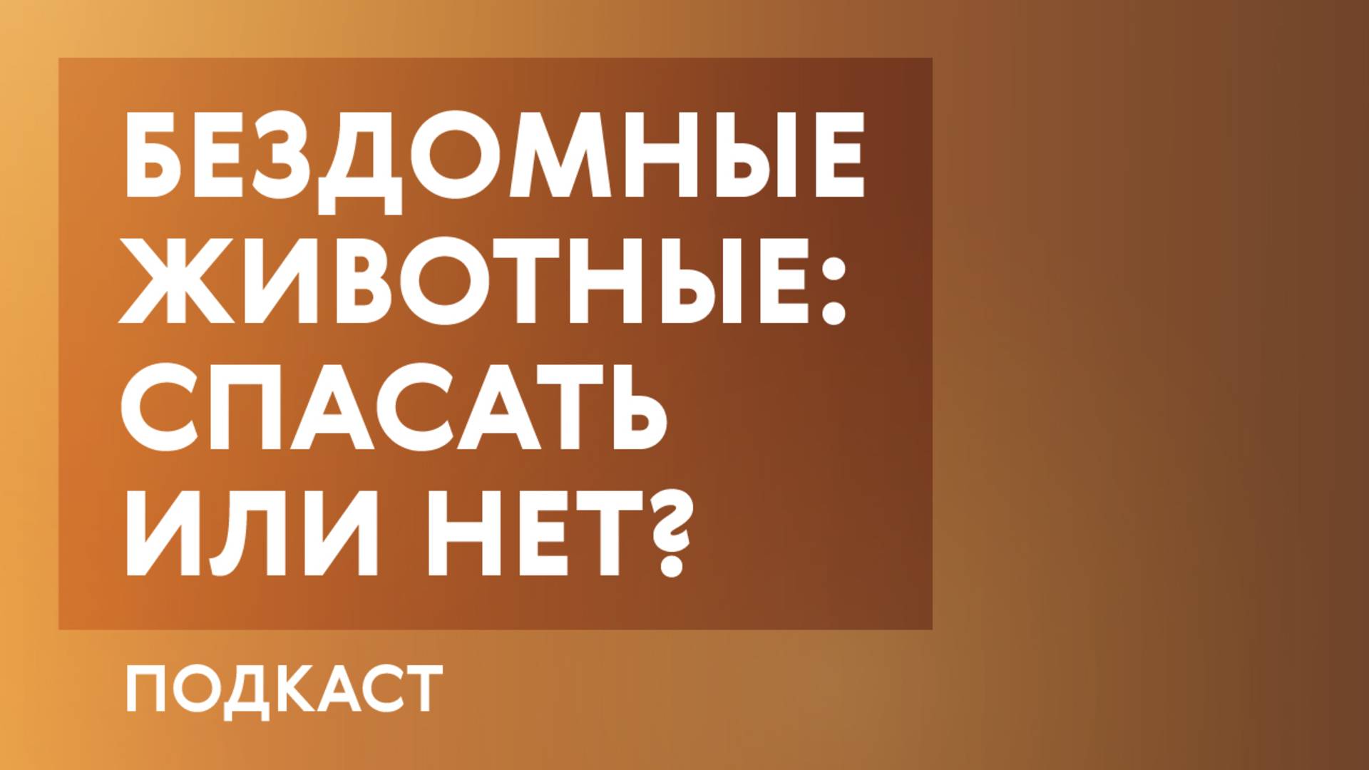Спасать бездомных животных нужно с умом | зоозащитник Ольга Лахтюк в подкасте «Про Большой город»