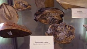 Жигулёвский заповедник, часть 2
Лесной дневник