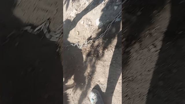1000010692.mp4