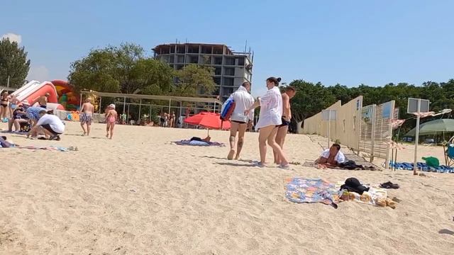 Опять курица села на яйца! Огурцы переростки . На пляже