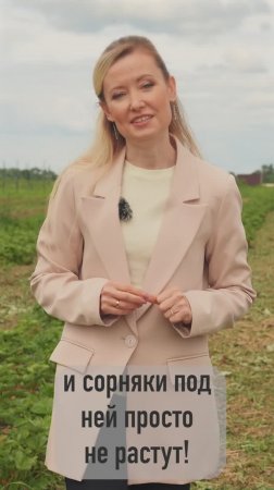 Зачем вам агроткань при выращивании земляники садовой?