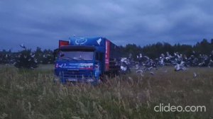 11 гонка. 417 км. Московский регион. Старт 13 июля 2025 года.