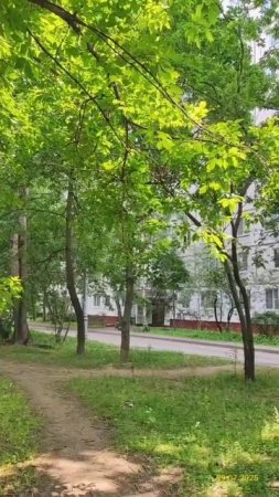 Moscow, Altufyevsky district 09.07.2025