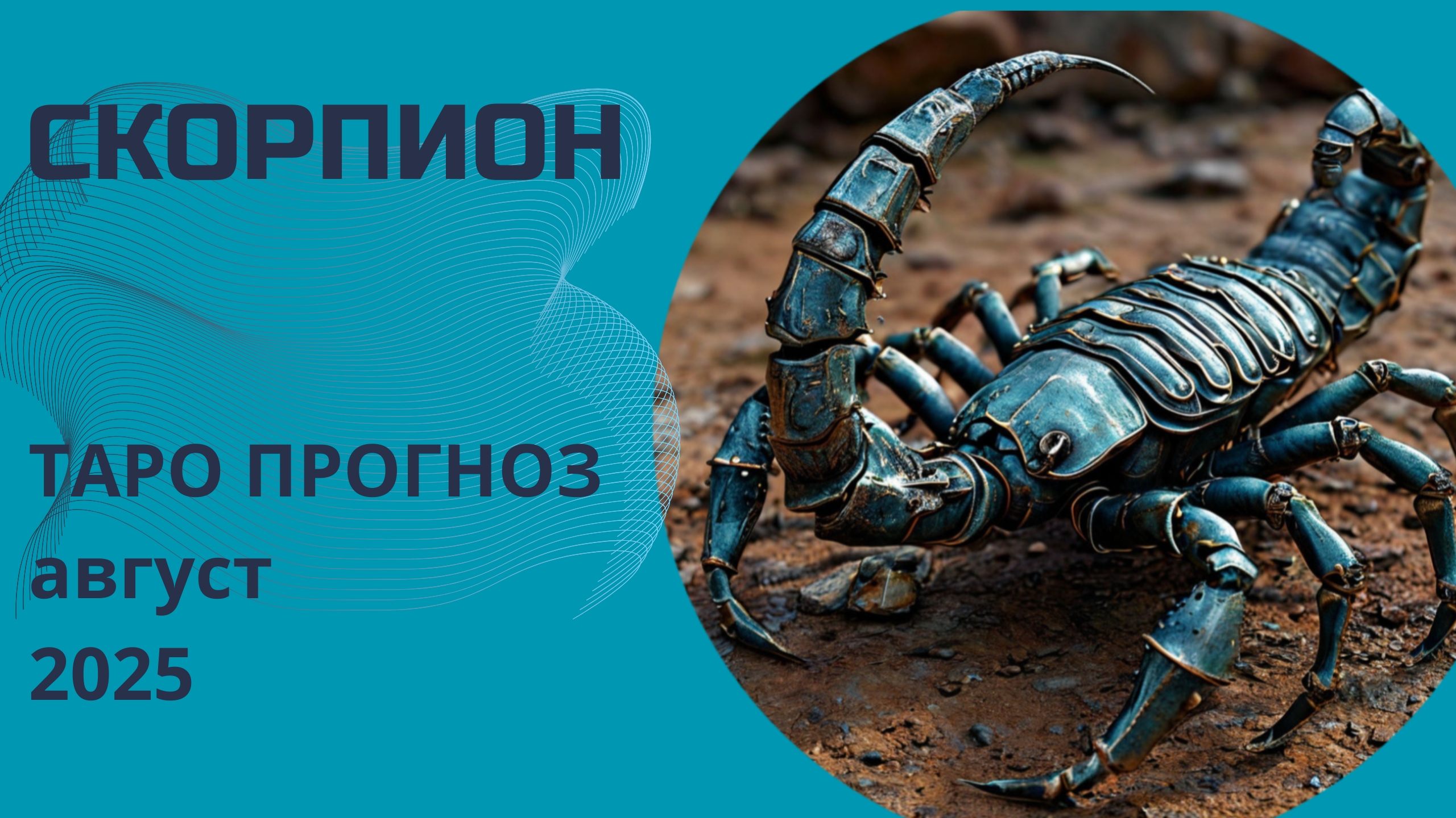 Скорпионы ✨️ что принесёт вам август 2025 года. Таро прогноз от Наталии Эллиф