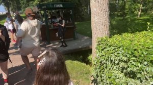 Стефан и Николь гуляют в Петергофе