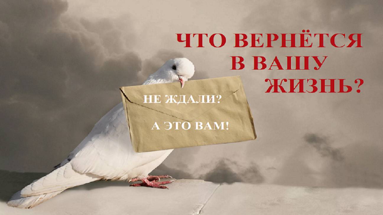 ПРИВЕТ ИЗ ПРОШЛООЙ ЖИЗНИ... ВЫ НЕ ЖДАЛИ, НО ВСЁ ВЕРНЁТСЯ!