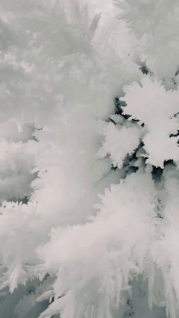 Lake Baikal: In the heart of Siberia #3 #shorts