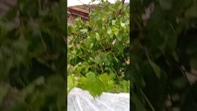 1000709363.mp4