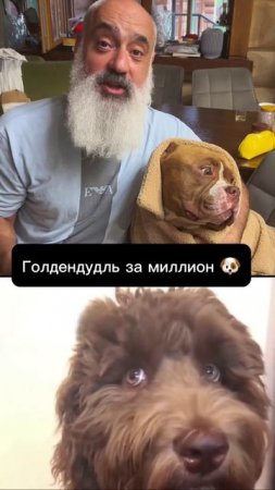 👆Сверху — уверенный рассказ про дорогого гибрида.