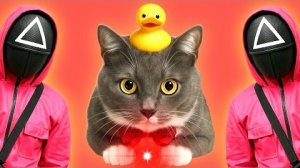 КОТИКИ В ШКОЛЕ - ИГРА В КАЛЬМАРА, НО ЭТО КРАСНАЯ ТОЧКА