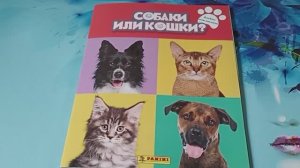 Наклейки Panini Кошечки или собачки. Обзор журнала наклеек