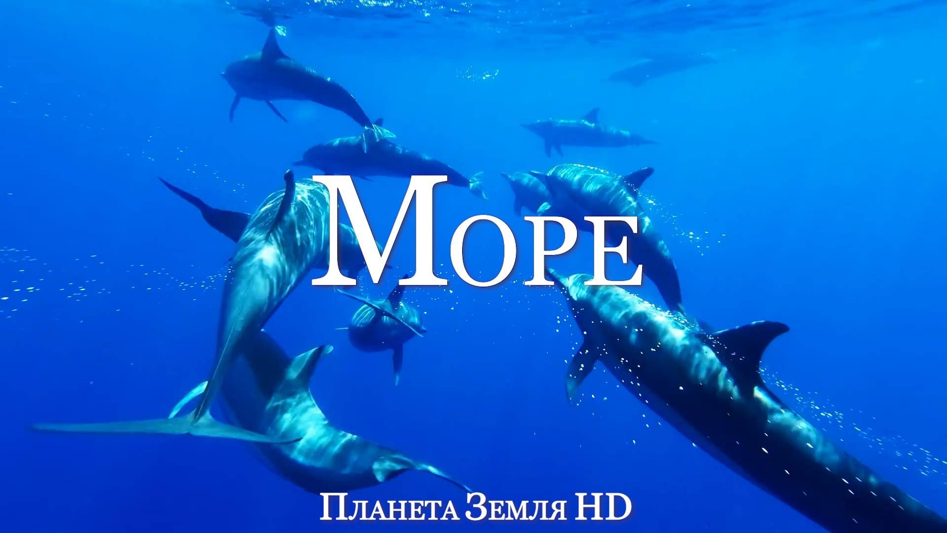 Под водой морей HD - Живописный Фильм о дикой природе с успокаивающей Музыкой