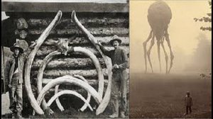 Загадочное существо из Сибирского озера