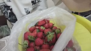 Остался без кефира, очень сладкая клубника, обзор покупок Пятерочка