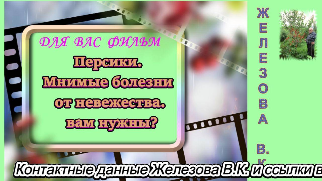 Персики. Мнимые болезни от невежества.