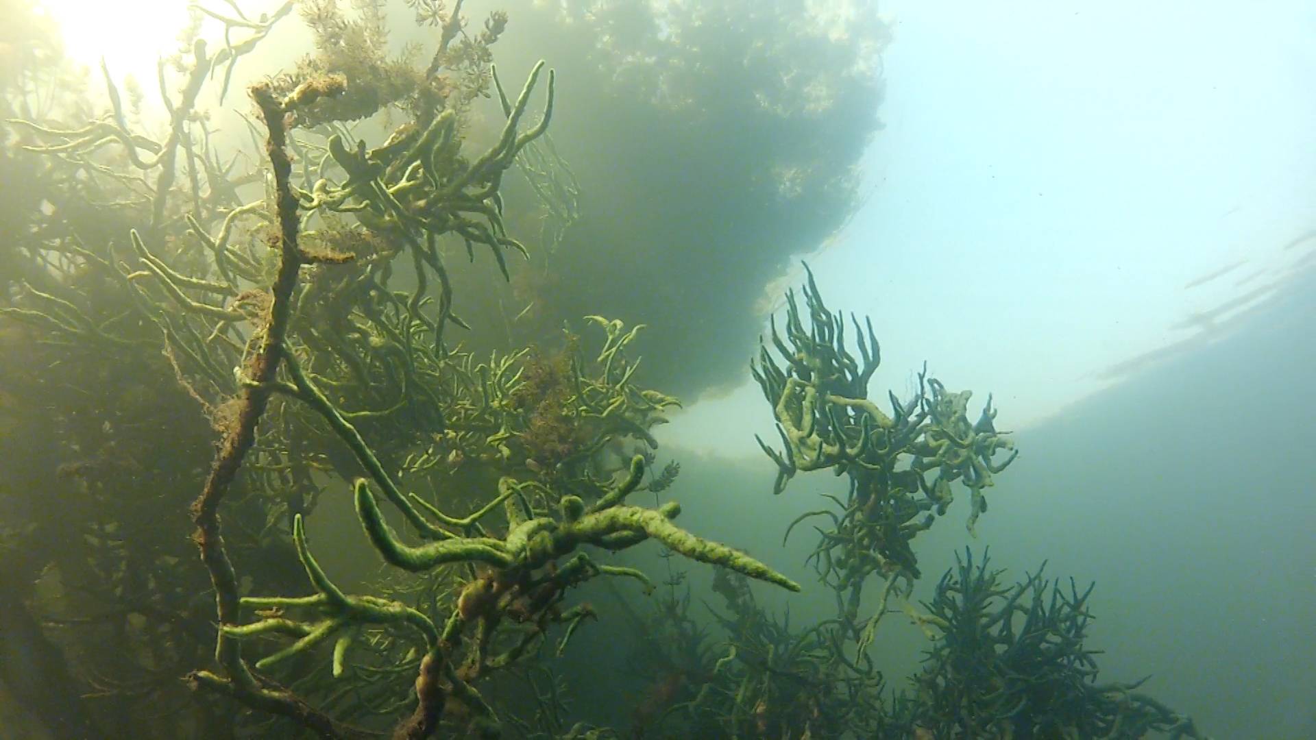 Подводные тайны Курска. Водяная мельница