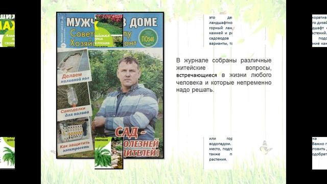 Сад и огород летом