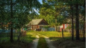 Мистика. Страшные истории про деревню.  " НЕ ХОДИ В ЭТОТ ЛЕС "