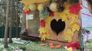 В парке у больницы ,гуляем.