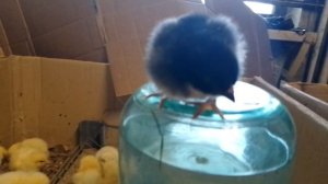 VID_20250602_161136