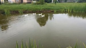 VID_20250716_070637