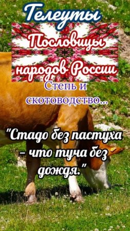 пословицы