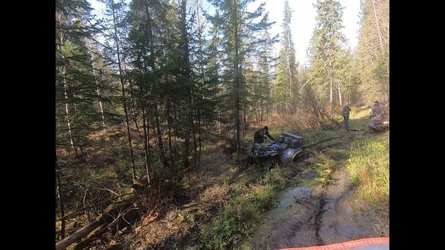 Немного покатались по лесным дорогам. смотреть онлайн