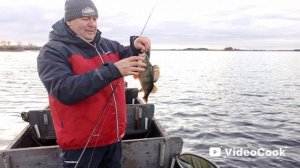 В гостях у Лешего