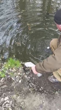 1000072054.mp4