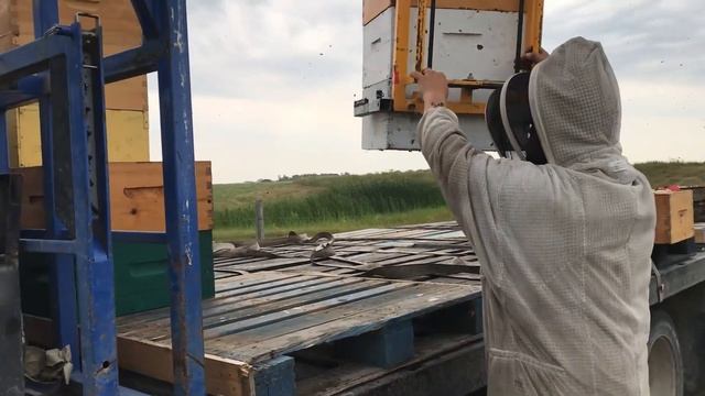 Второй этап набора летних расплодных отводков на канадской пасеке Фила Фелдхуса