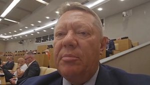 Панков: "Депутаты Госдумы озвучат профильным министрам вопросы о демографической политике"