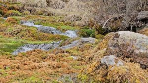 Без полётов