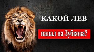Какой лев напал на Зубкова?, 16 июля