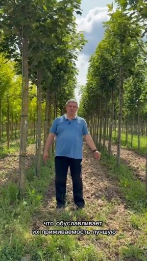Жизнь в окружении природы