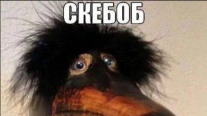 Fnaf Coop(1 часть)