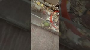 1000006215.mp4
