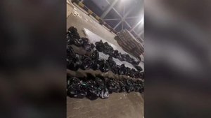 Бананы с секретом: ФТС выявила контрабанду 820 кг кокаина на 12 млрд рублей