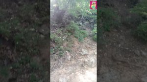 1 сезон. 22 серия. Красные пещеры, долгая горная дорога в пещеру. 🦄🦄🦄🦁🦁🦁