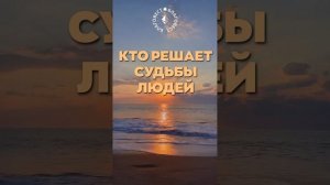 #БлагоВест ✴ КТО РЕШАЕТ СУДЬБЫ ЛЮДЕЙ