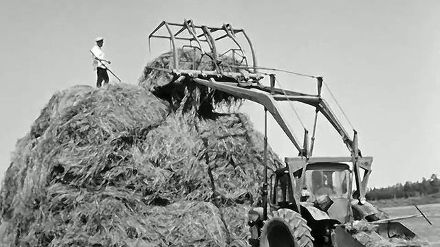 1971 год. Тюменский район. Стогование сена