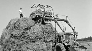 1971 год. Тюменский район. Стогование сена